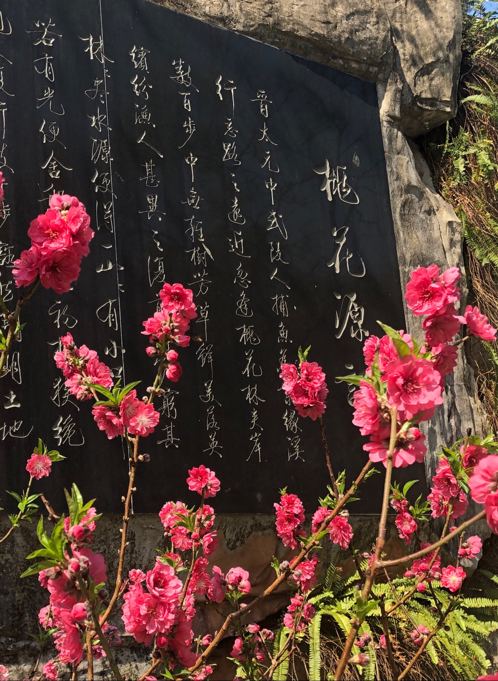 八字算桃花运