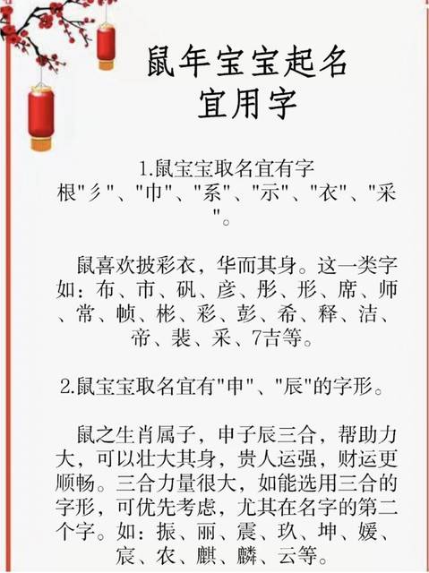 给鼠宝宝起名用什么旁