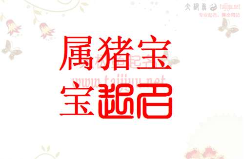 给猪宝宝起名字用什么字